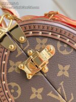 LV Master level Bag