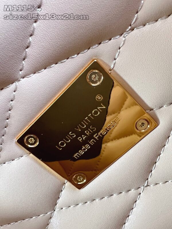 LV Master level Bag