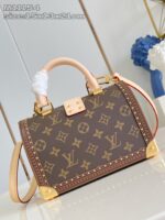 LV Master level Bag