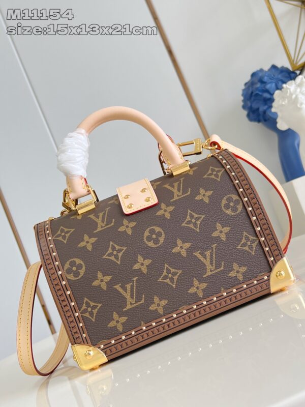 LV Master level Bag