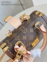 LV Master level Bag
