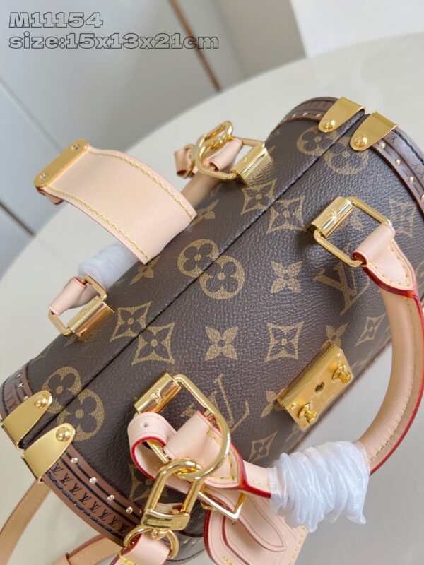 LV Master level Bag