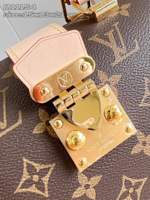 LV Master level Bag