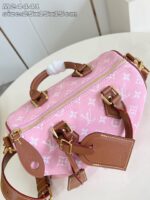 LV Master level Bag