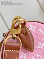 LV Master level Bag