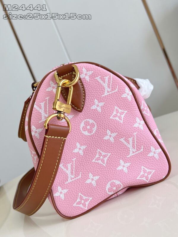 LV Master level Bag