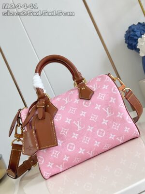 LV Master level Bag