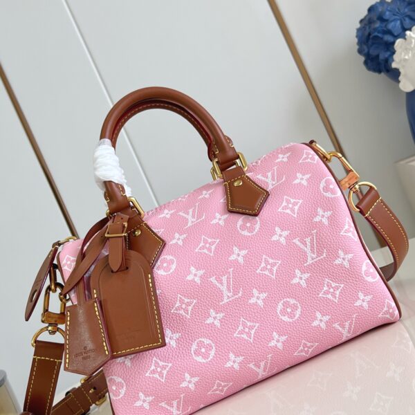 LV Master level Bag