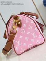 LV Master level Bag