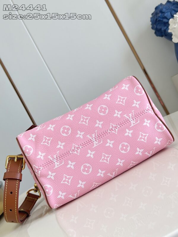 LV Master level Bag