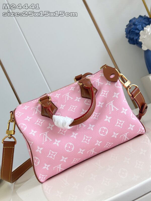 LV Master level Bag