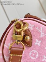 LV Master level Bag