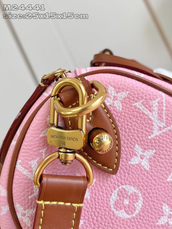LV Master level Bag