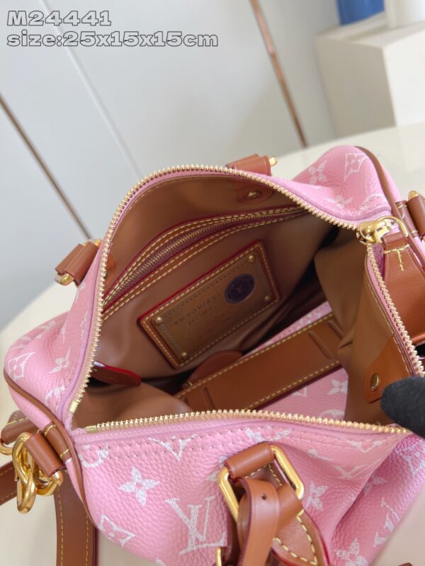 LV Master level Bag