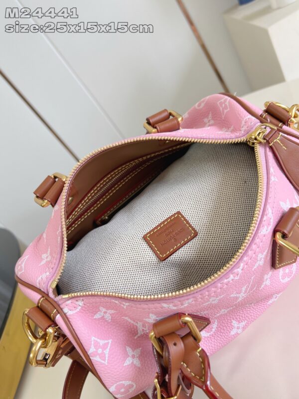 LV Master level Bag