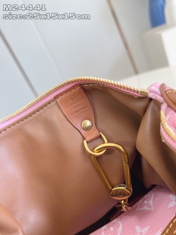 LV Master level Bag
