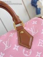 LV Master level Bag
