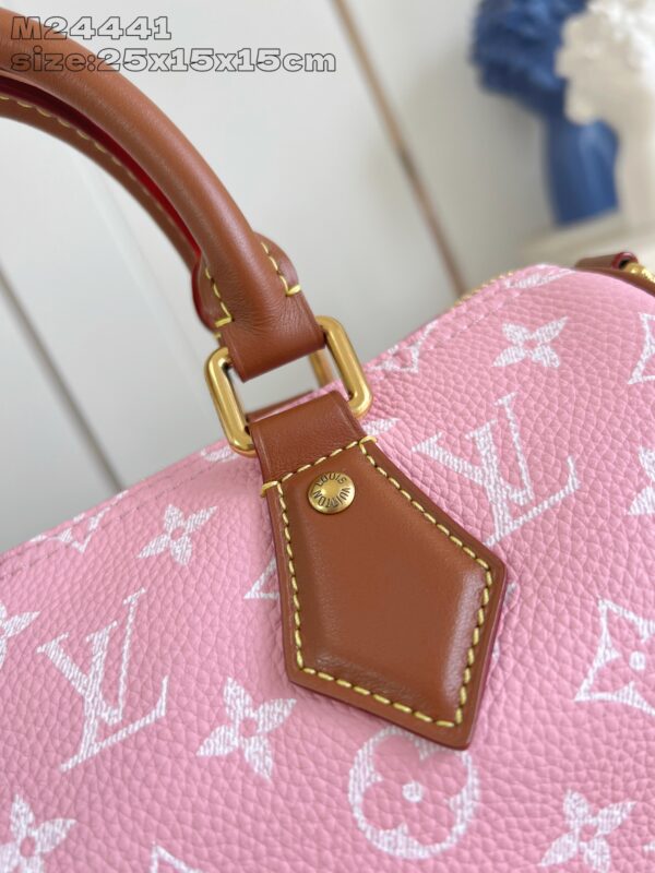 LV Master level Bag