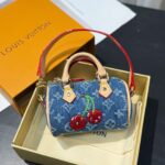 LV Mini Bag