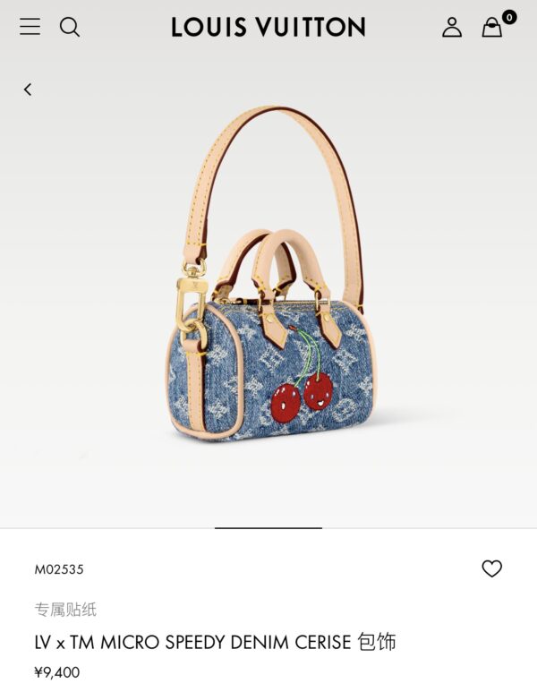 LV Mini Bag