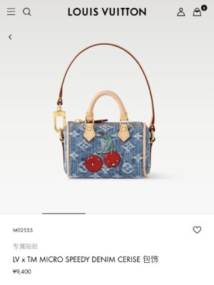 LV Mini Bag