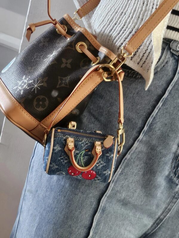 LV Mini Bag