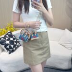 LV Mini Bag