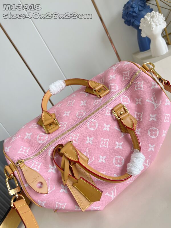 LV Master level Bag