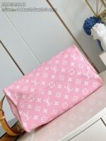 LV Master level Bag
