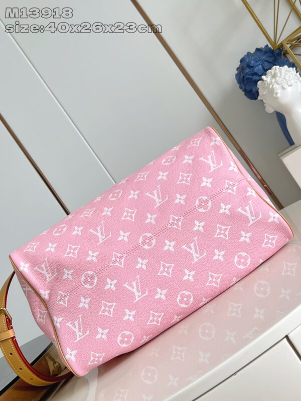 LV Master level Bag