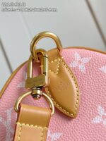 LV Master level Bag
