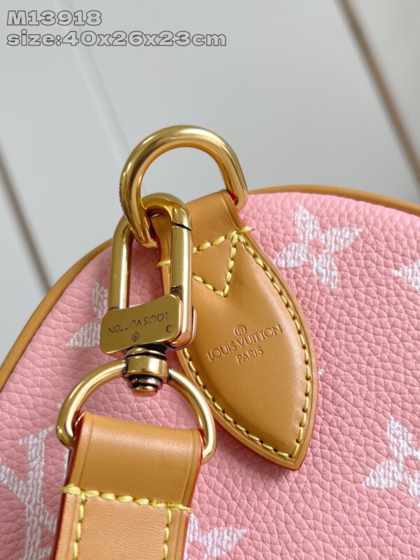 LV Master level Bag