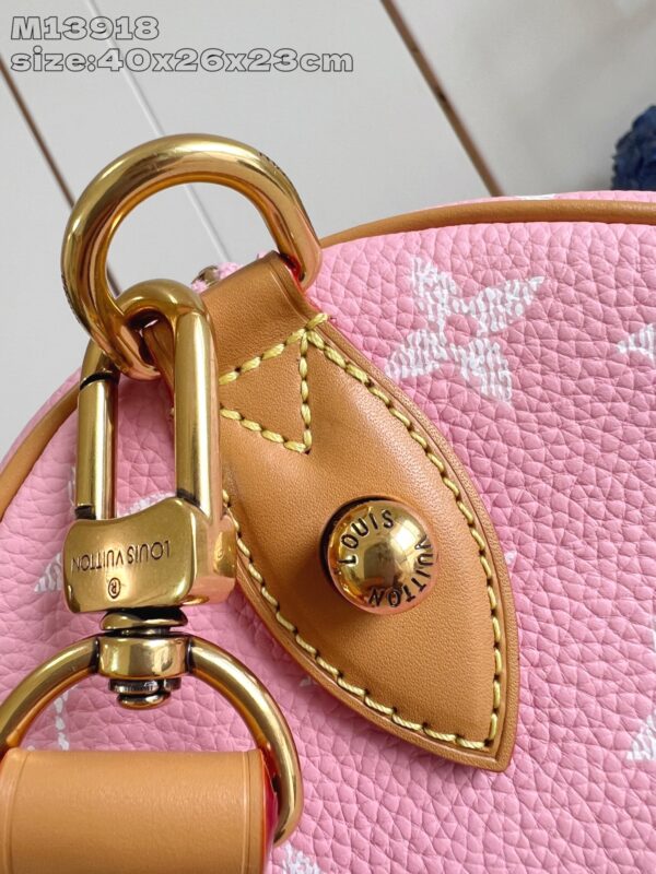 LV Master level Bag