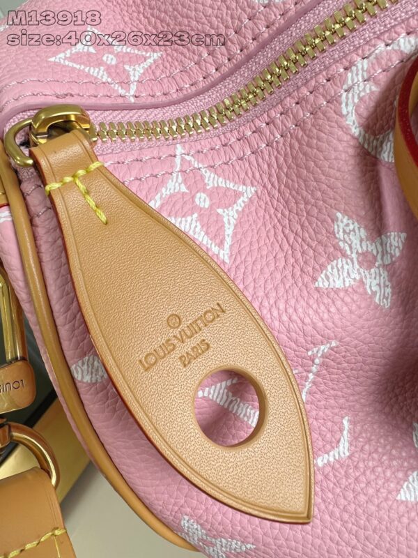 LV Master level Bag