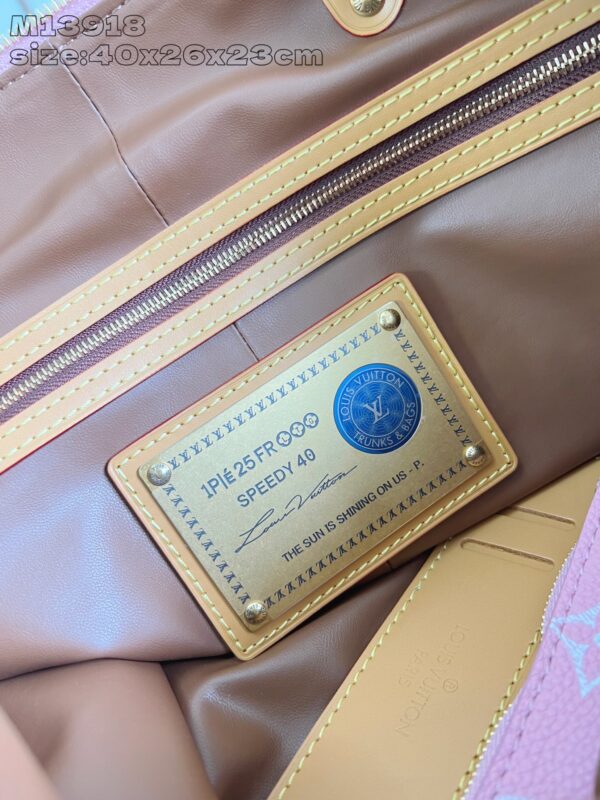 LV Master level Bag
