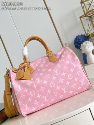 LV Master level Bag