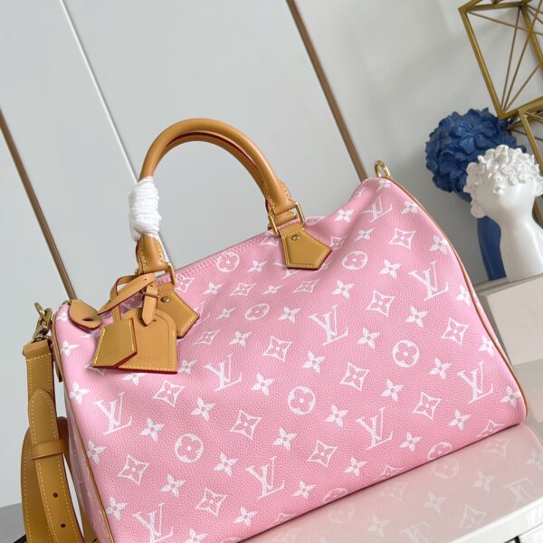 LV Master level Bag