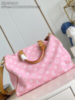 LV Master level Bag