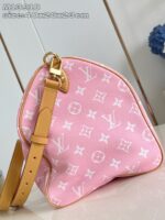 LV Master level Bag