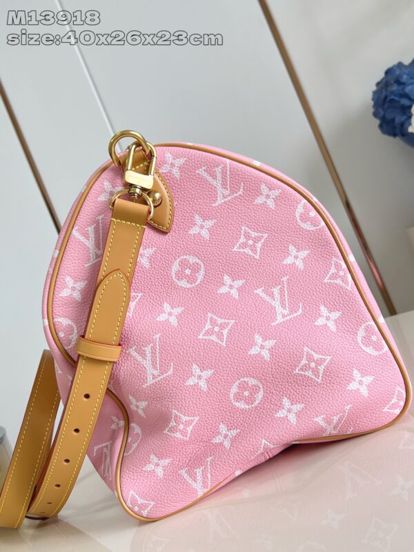 LV Master level Bag