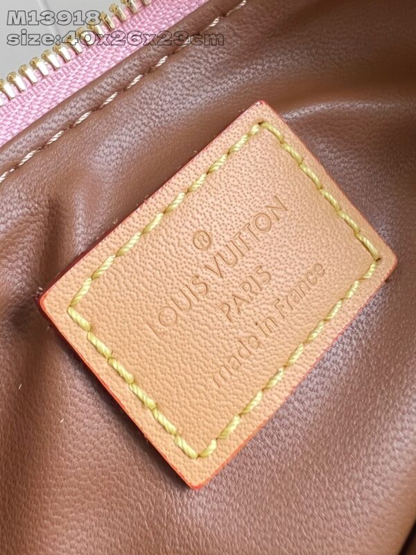 LV Master level Bag