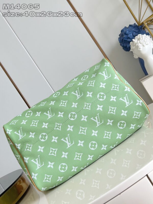 LV Master level Bag