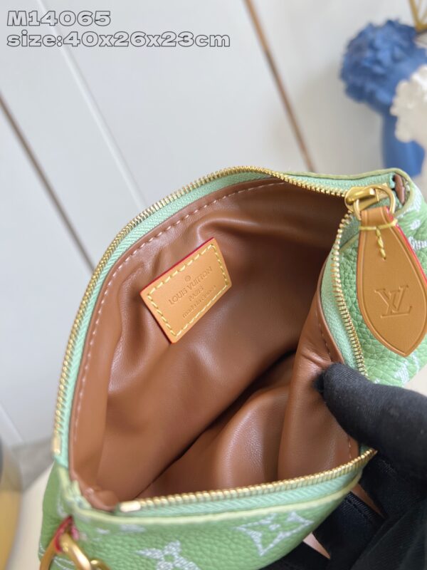 LV Master level Bag