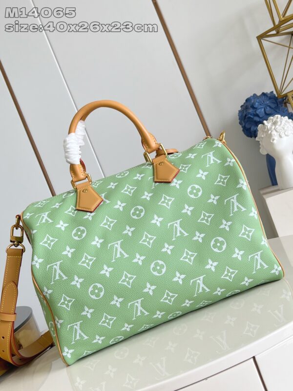LV Master level Bag