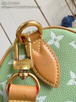 LV Master level Bag