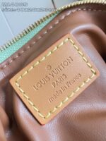 LV Master level Bag