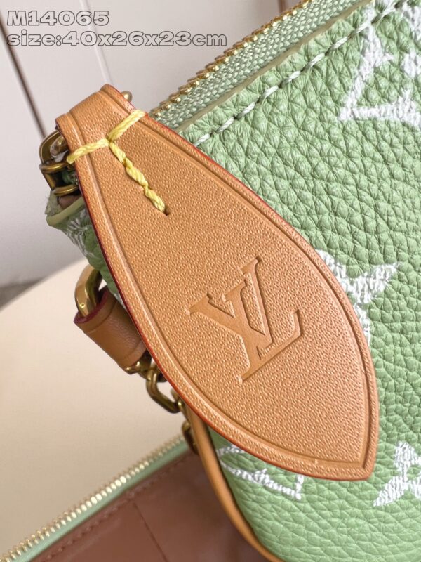 LV Master level Bag