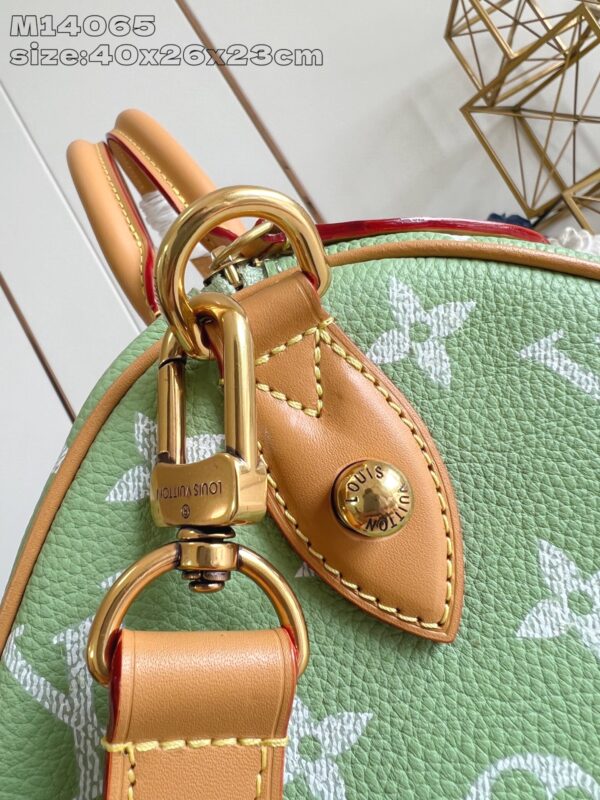 LV Master level Bag