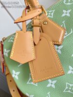 LV Master level Bag