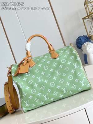 LV Master level Bag